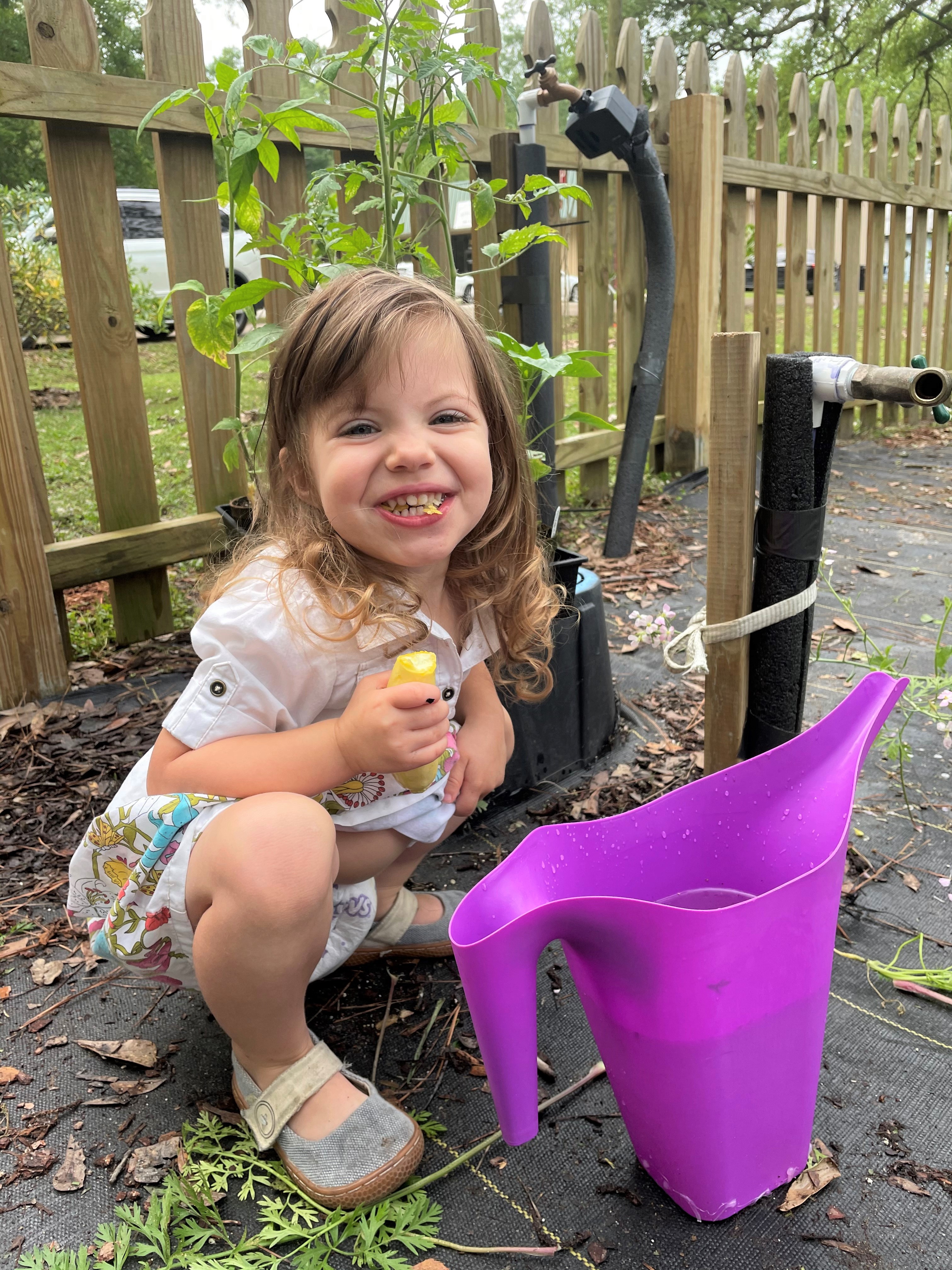 Covington Community Garden hosts first Harvest Day
